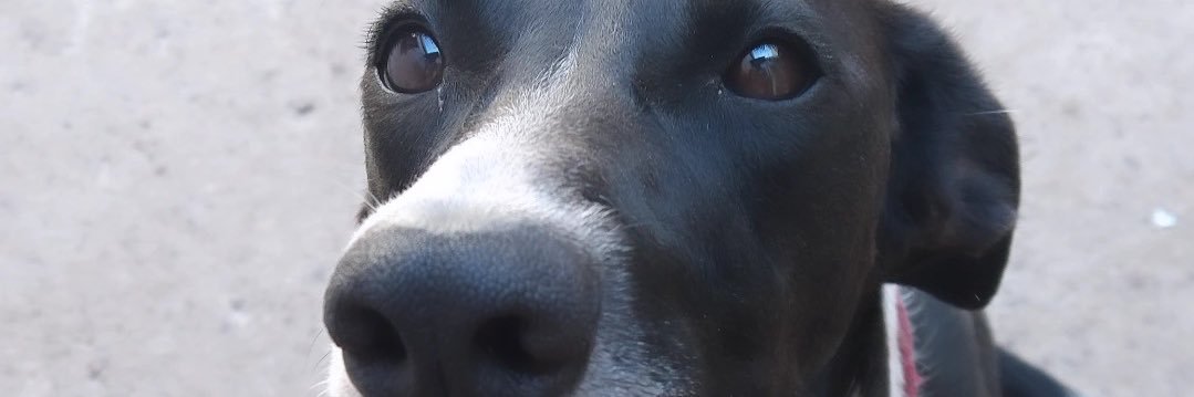 Magalibasabe's profile banner image