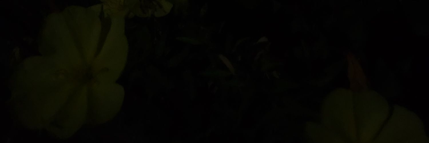 Ann_Fcb's profile banner image