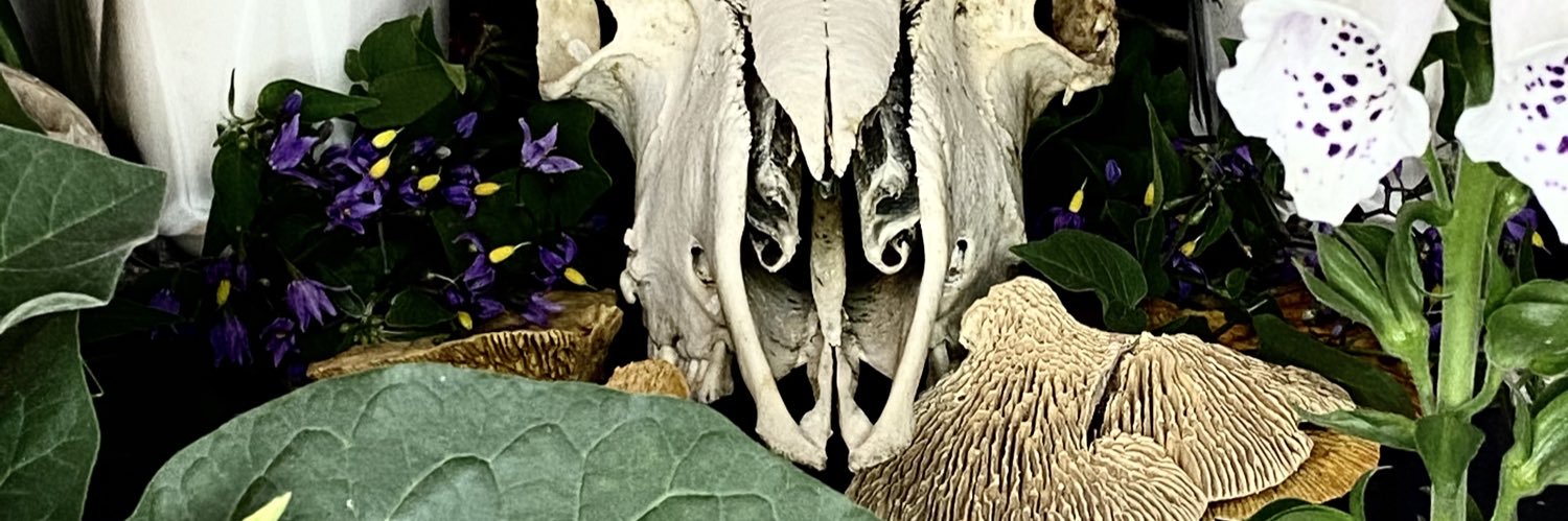 Poisonpath's profile banner image