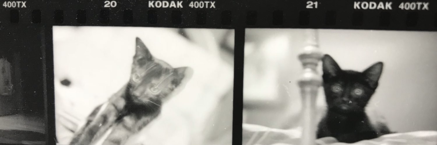 Sarah Rotella banner