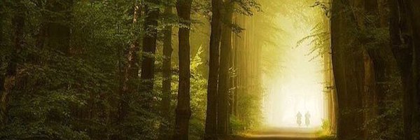 babynardja Profile Banner