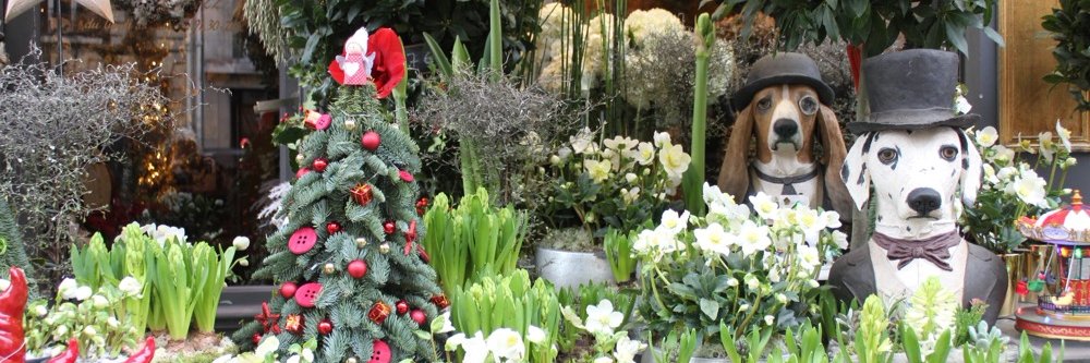 AudreyFriedman's profile banner image