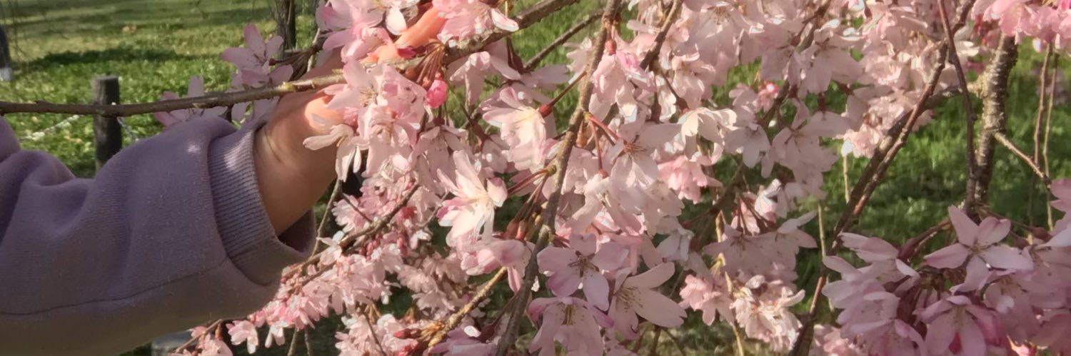 hs_p3h's profile banner image