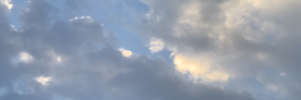 ناصر فهد الدوسري banner