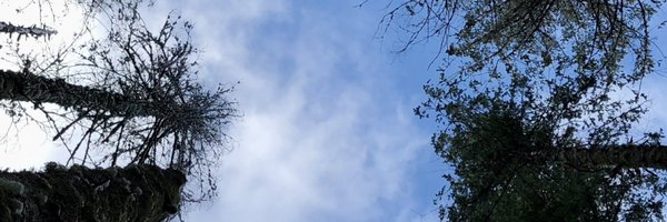 sirishsatyavolu Profile Banner