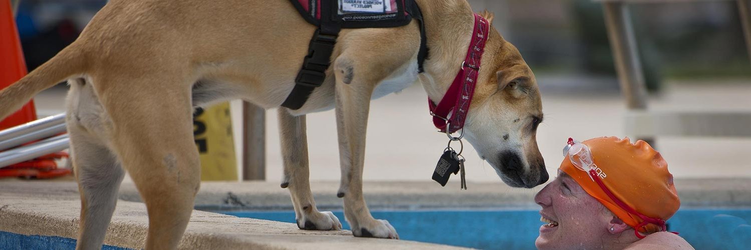 Alive and Able banner