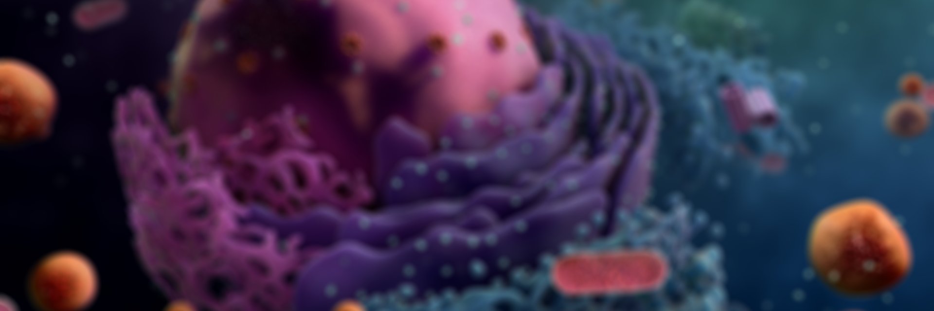 OnlyBlix's profile banner image