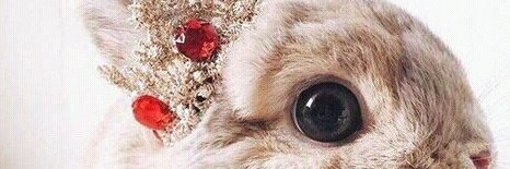 mhdlenaa's profile banner image