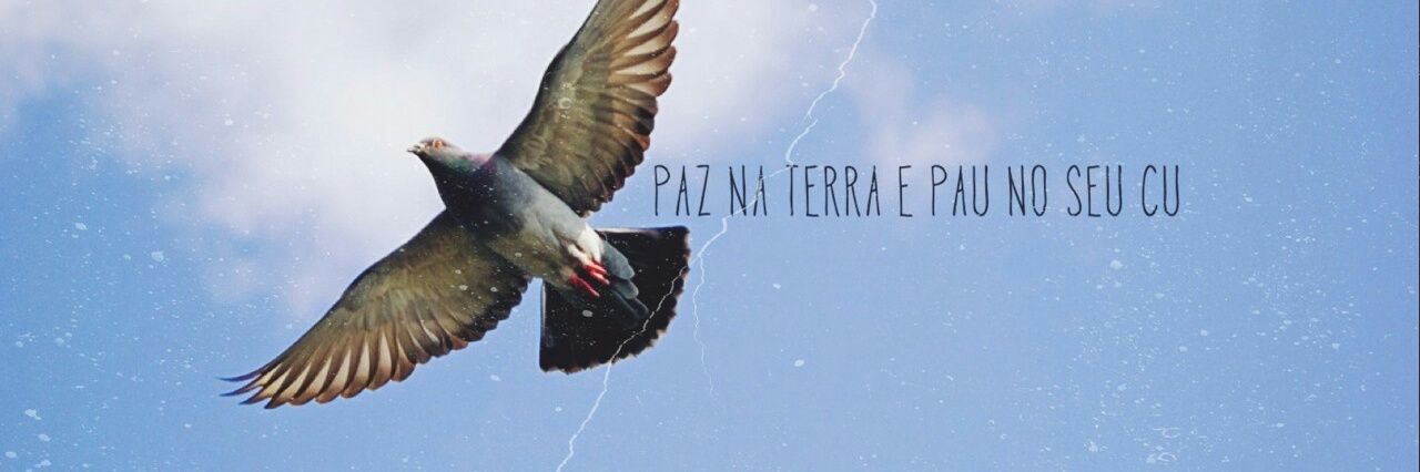 prigiorgetti's profile banner image
