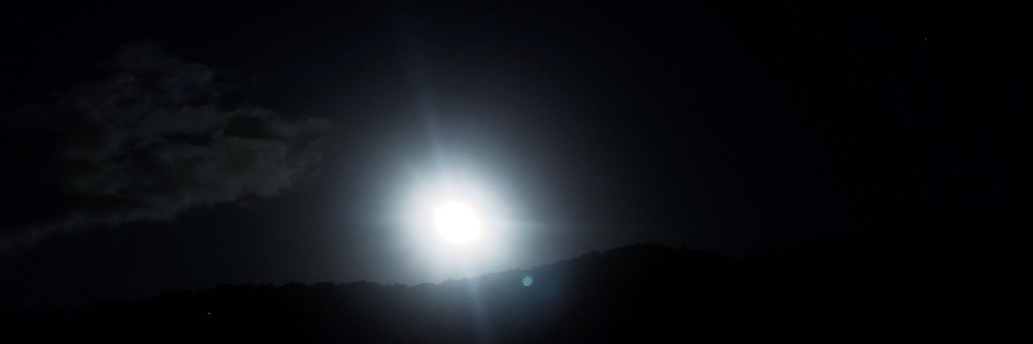 E d u a r d o G r e c o banner