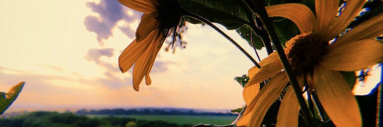 MorganArtz's profile banner image