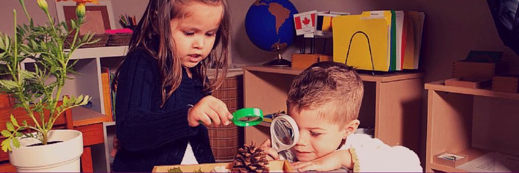 Montessori Works! banner