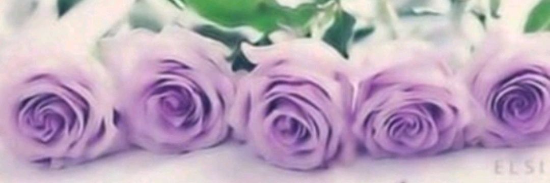 mmftf76's profile banner image