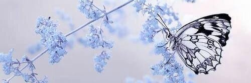 kaz_1024's profile banner image