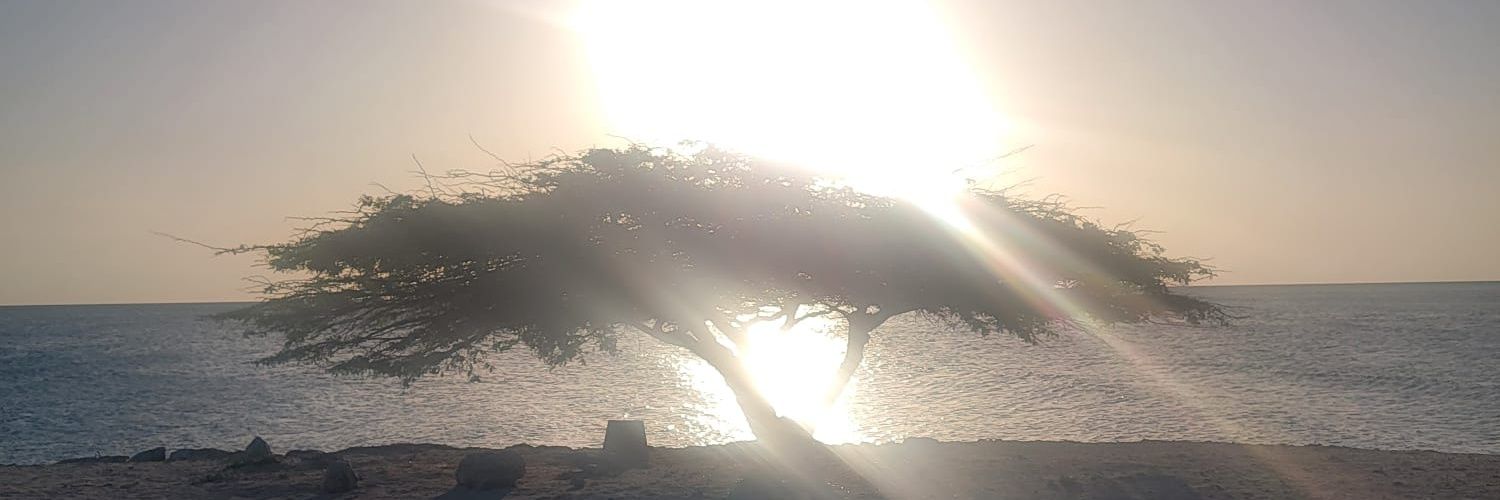 Hugh Hefner on High banner