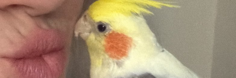 macchiatodels_'s profile banner image