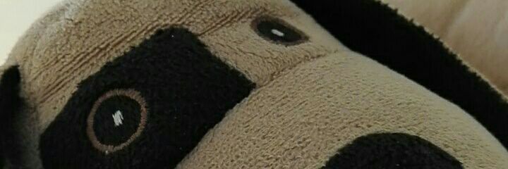 rcyunis's profile banner image