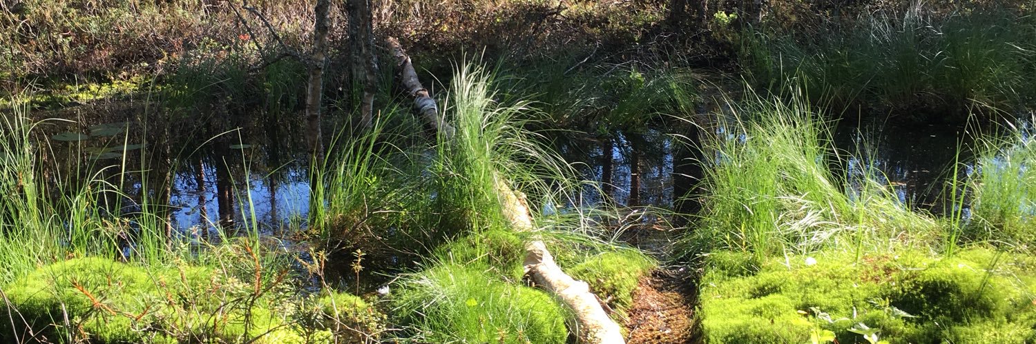 Ville Ahlgren banner