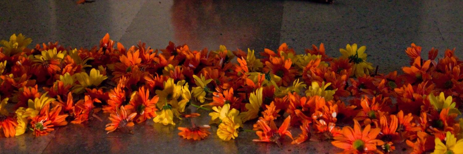 Sofía Arrieta banner