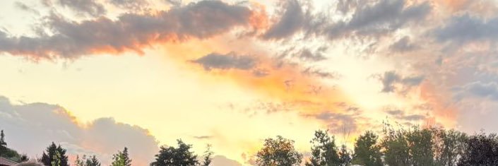 MeliTagua's profile banner image
