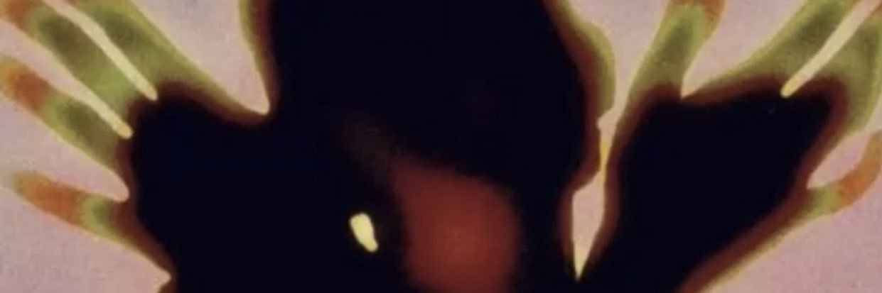 brandon averi banner