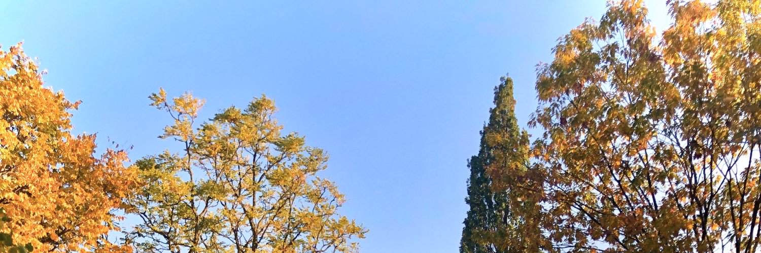 MJMardin's profile banner image