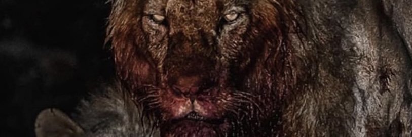 DREW banner
