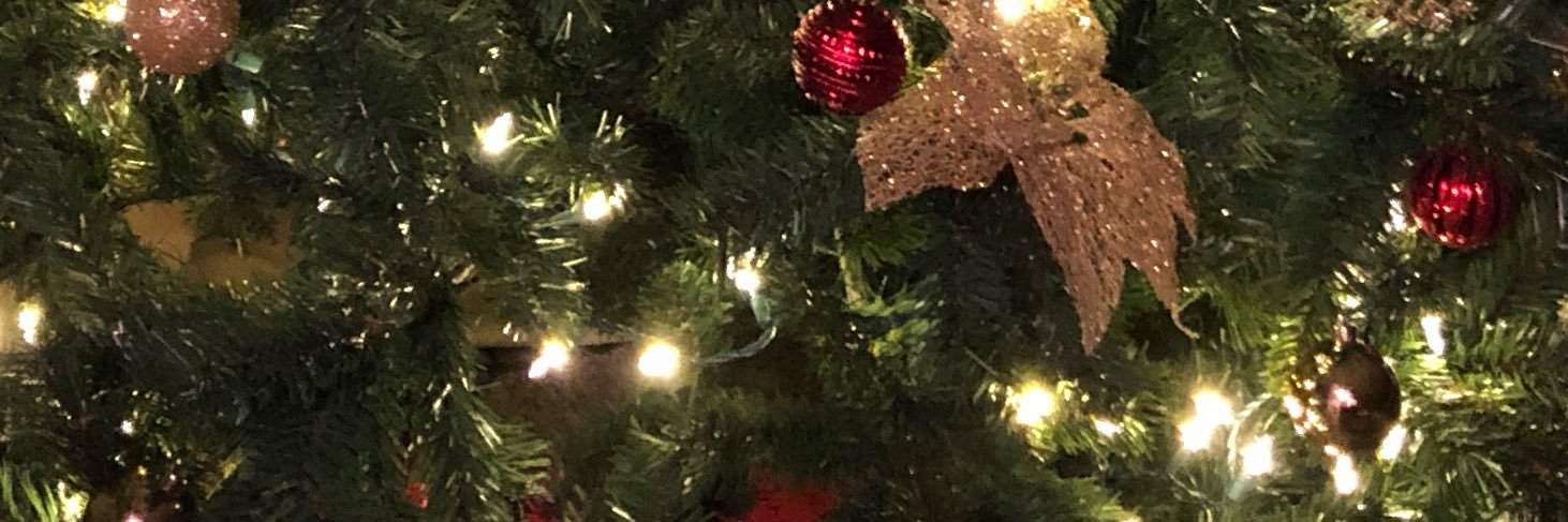 LaynaLeigh's profile banner image