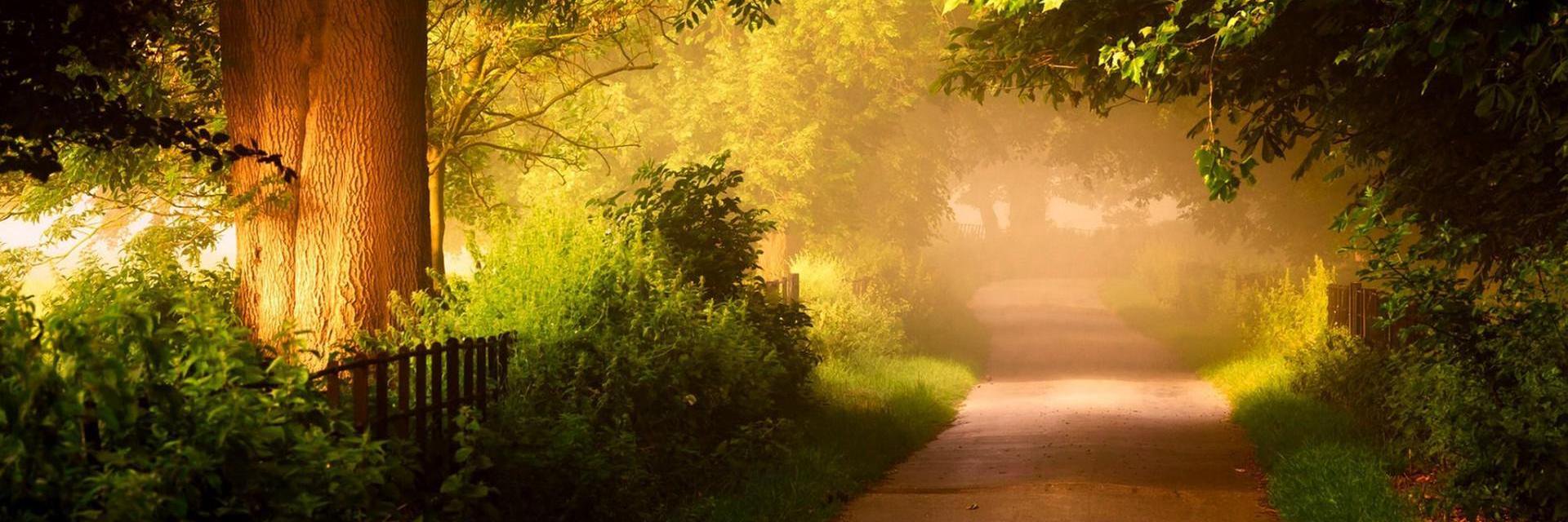 José Puridade Sá Jr. banner