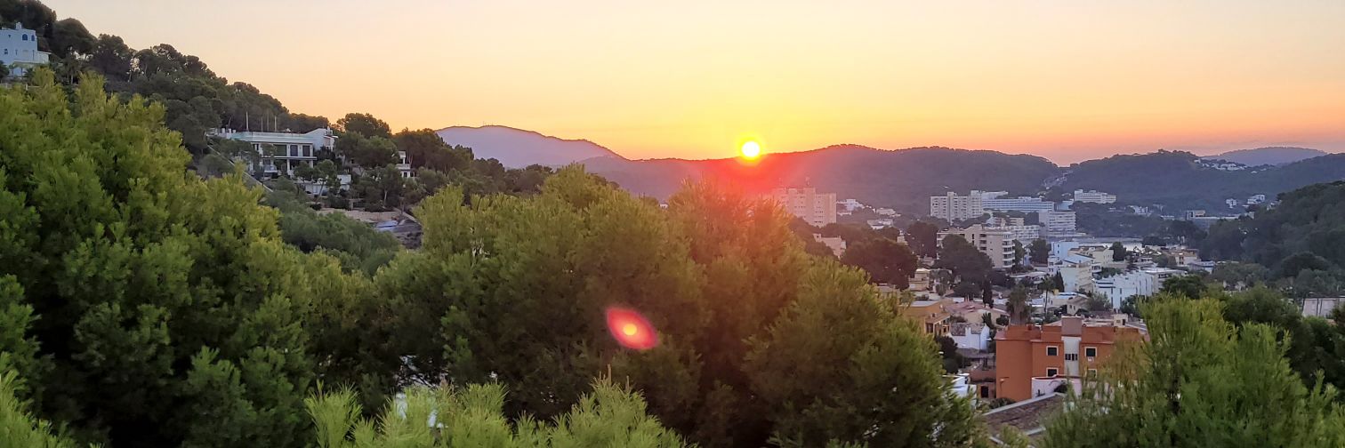 Dylan Tillbrook banner