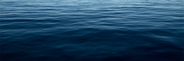 hayleysln's profile banner image