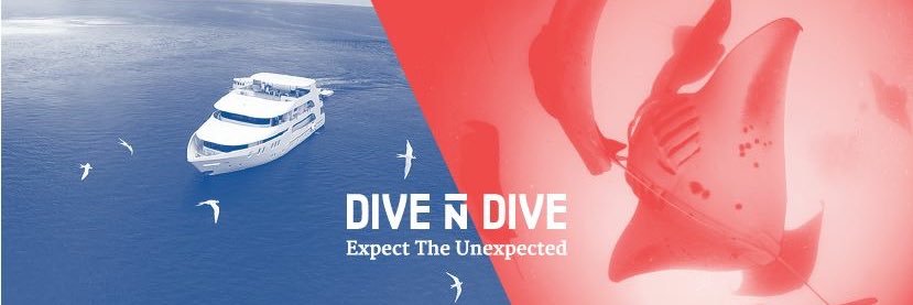 MaldivesDive's profile banner image