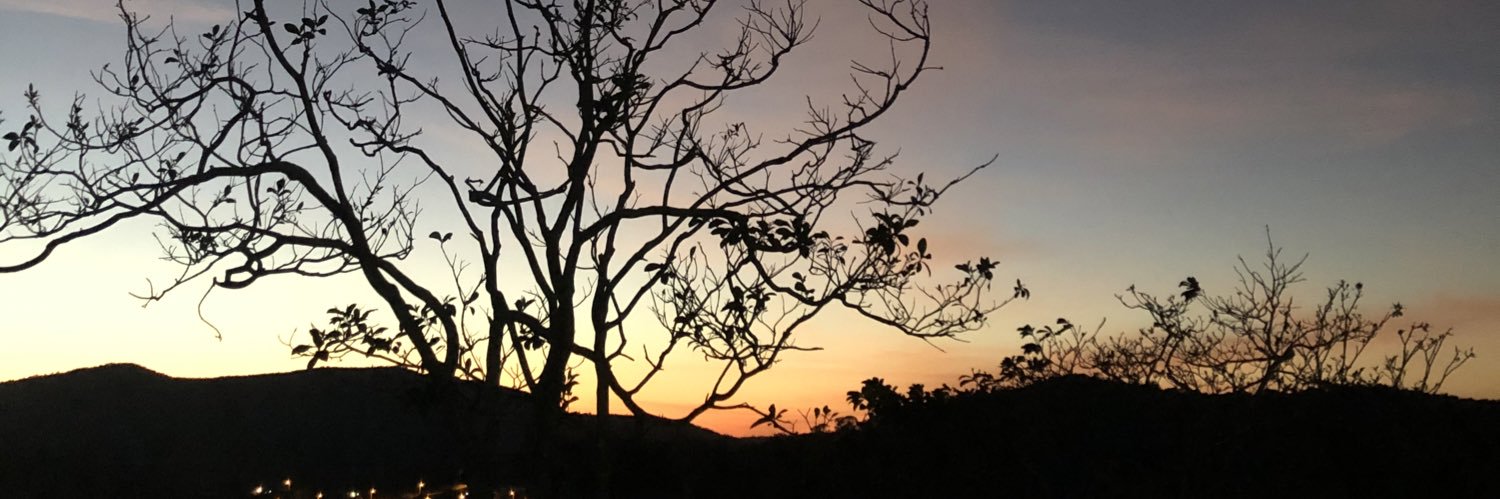 luiscaco's profile banner image