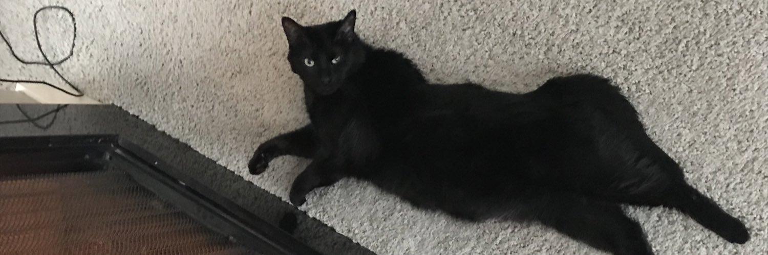 CourtneyTitus1's profile banner image