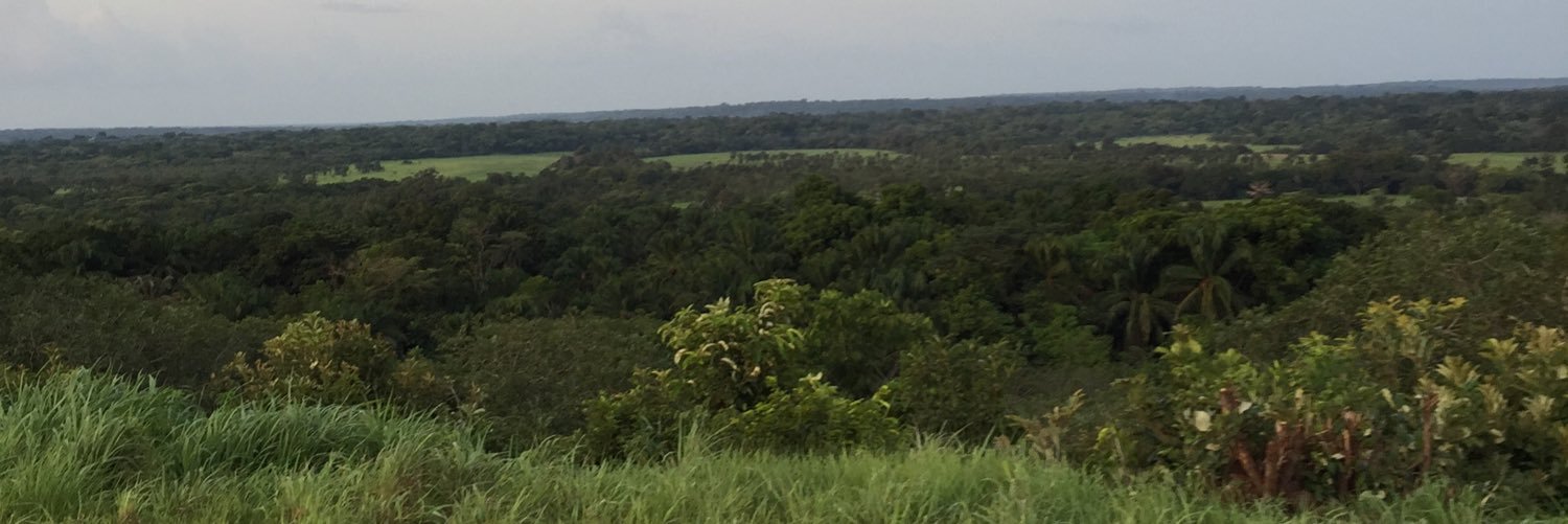 troystemen's profile banner image