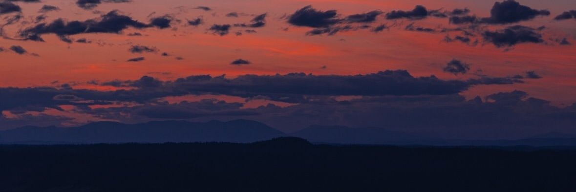 Daewound 🇸🇻🐦🇹🇷 banner