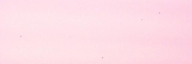 letstylesit's profile banner image