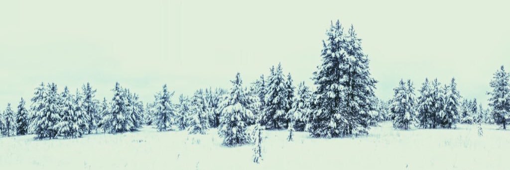 BryleeMikah's profile banner image