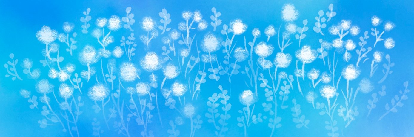 紺野キタ🌿 banner