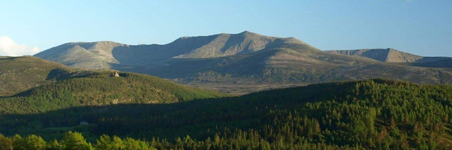 KnockGallery's profile banner image
