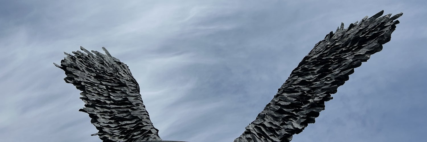 ikachai's profile banner image
