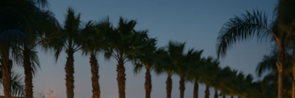 RuvaMB's profile banner image