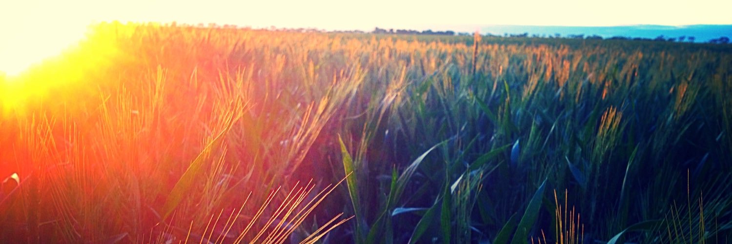 michaela_agro's profile banner image