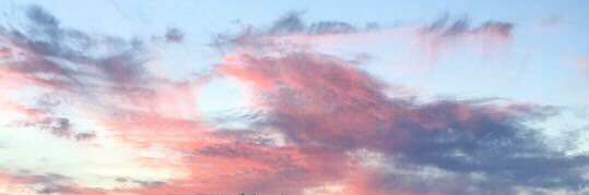 _Rose_Wood_'s profile banner image
