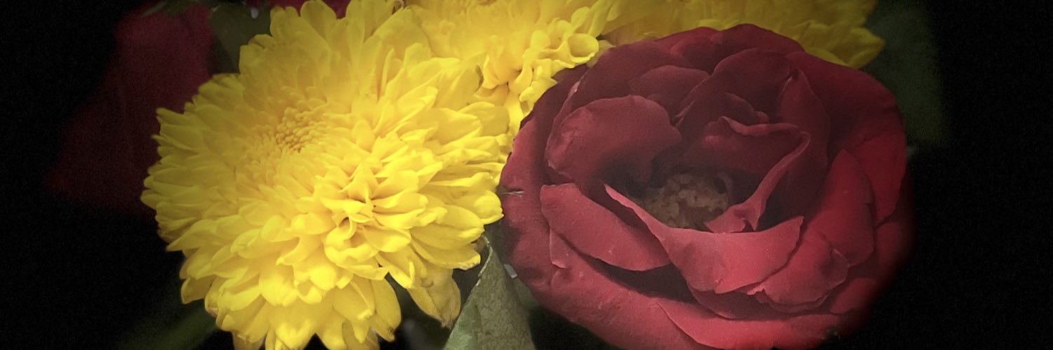 thetmonkhin's profile banner image