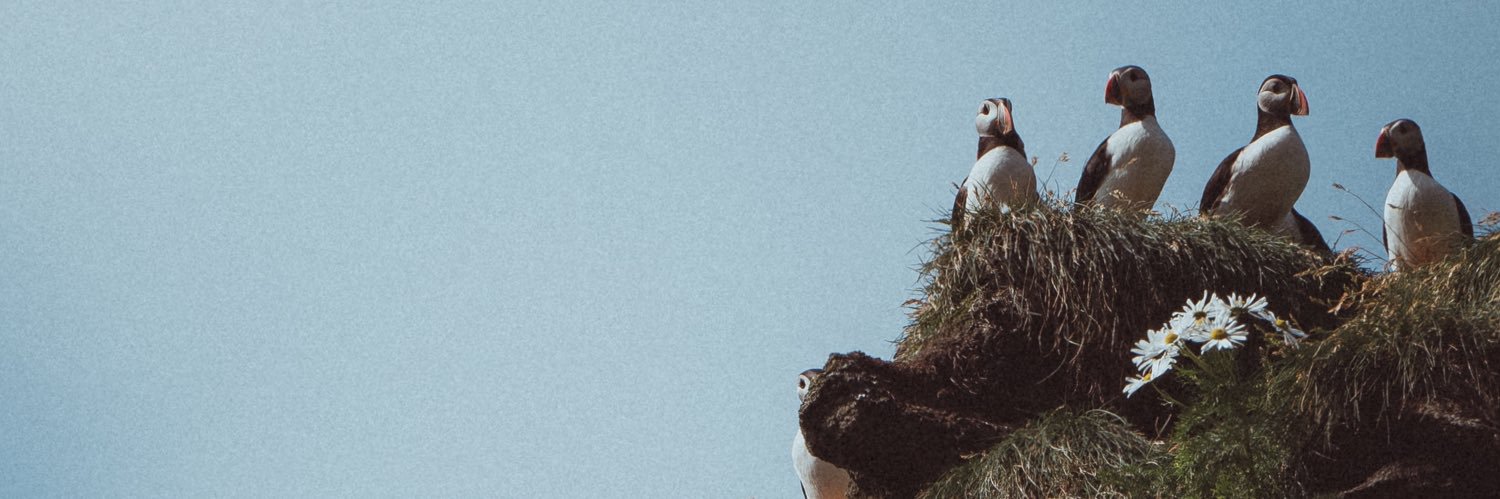 Kryštof Šámal banner