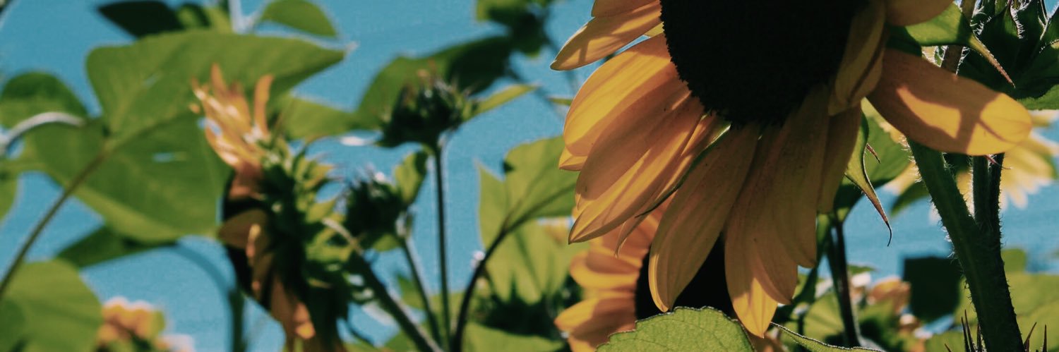 ShylaMarieeee's profile banner image