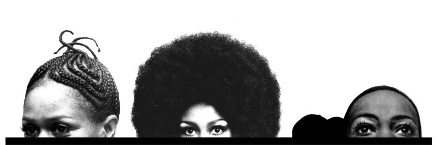 Michaela angela Davis banner