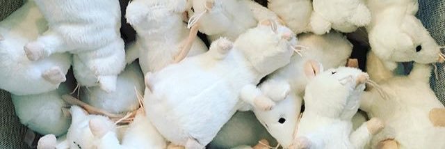 dragmice's profile banner image
