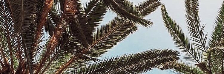 canderojo1's profile banner image